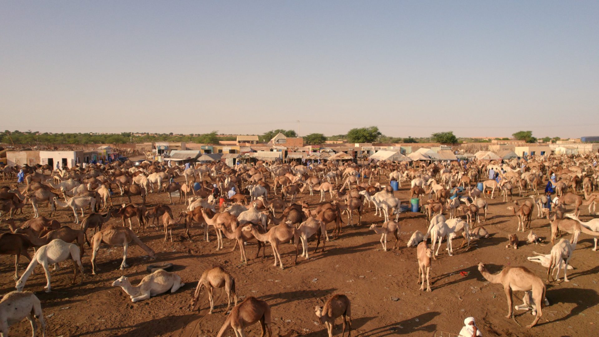 MARCHÉ MAURITANIE 5 Mauritanie