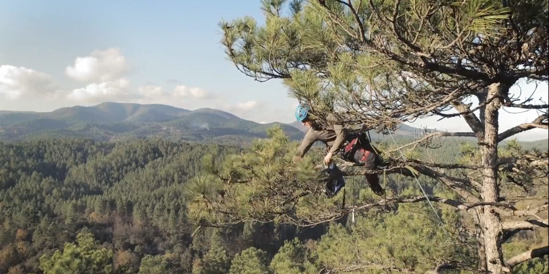L'Homme Qui Murmurait À L'oreille Des Arbres